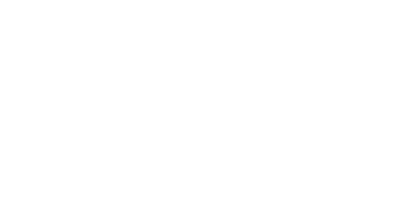 FlyStore
